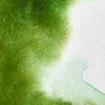 Permanent Sap Green